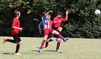 Hempnall v Woodton 17th July 2016 5